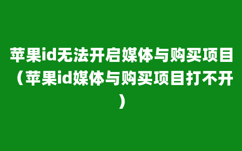 苹果id无法开启媒体与购买项目（苹果id媒体与购买项目打不开）