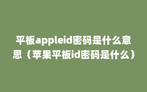 平板appleid密码是什么意思（苹果平板id密码是什么）