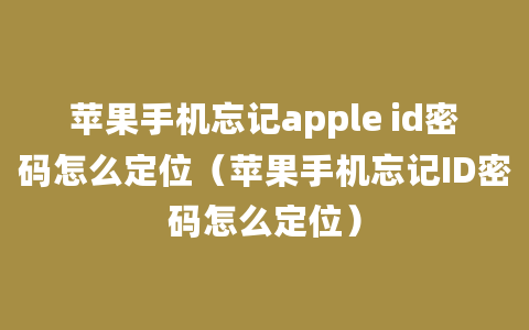 苹果手机忘记apple id密码怎么定位（苹果手机忘记ID密码怎么定位）