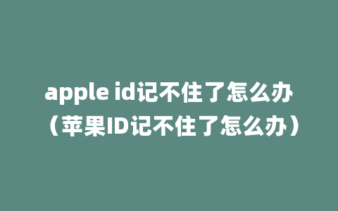 apple id记不住了怎么办（苹果ID记不住了怎么办）